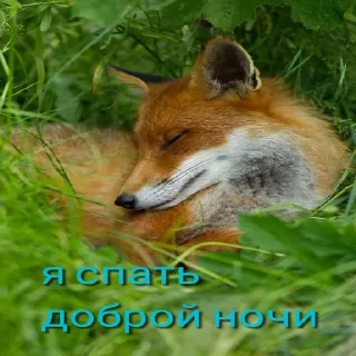 Стикер Lisa - 4