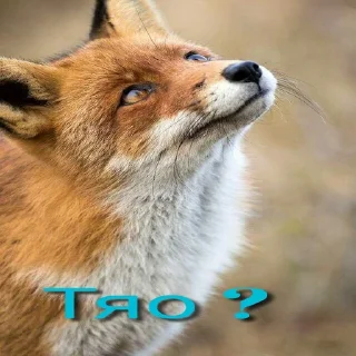 Стикер Lisa - 11