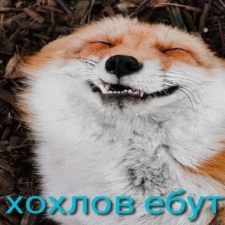 Стикер Lisa - 10