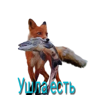 Стикер Lisa - 3