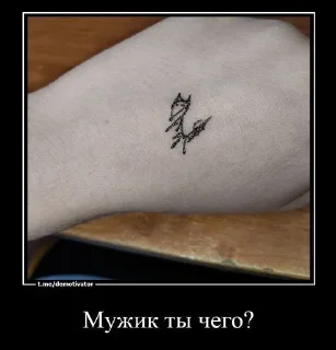 Стикер 🦊 - 2