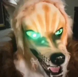 Стикер 🦊 - 9