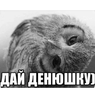 Sticker Лисичка от Vi🤍 - 2