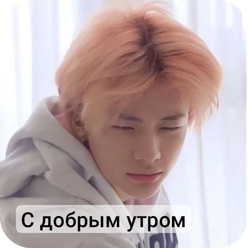 Sticker Liskstik - 1