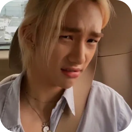 Sticker Liskstik - 1