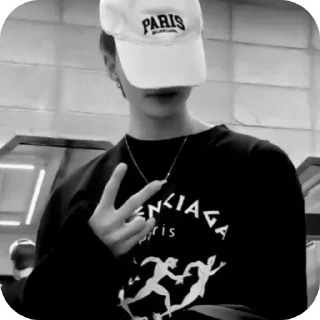 Sticker Lisk.stik - 2