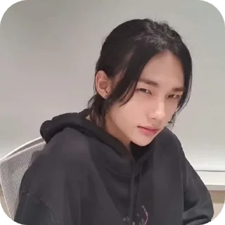 Sticker Lisk.stik - 0