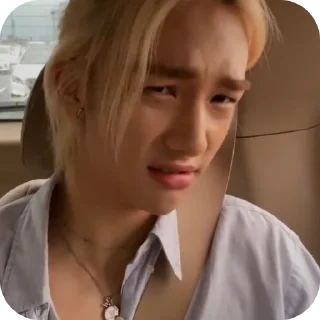 Sticker Lisk.stik - 4