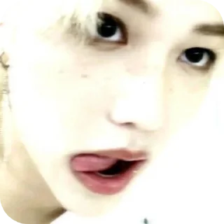 Sticker Lisk.stik - 7