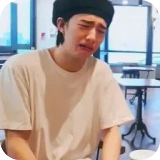 Sticker Lisk.stik - 5