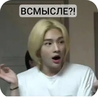 Sticker Lisk.stik - 6