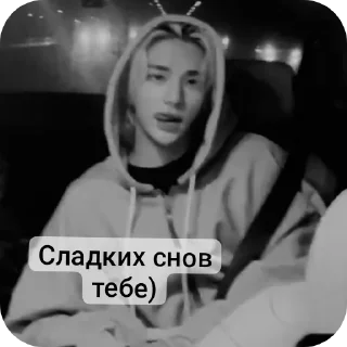 Sticker Lisk.stik - 8