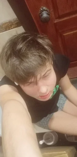 Человек человеческое лицо комнатный