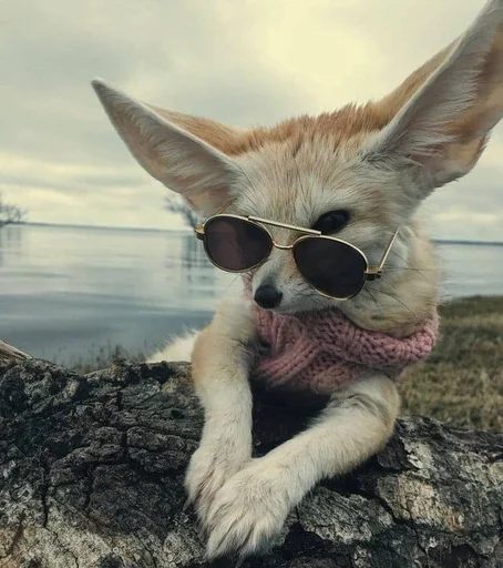 на открытом воздухе облако небо