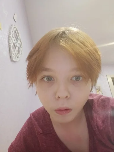 человеческое лицо Человек комнатный