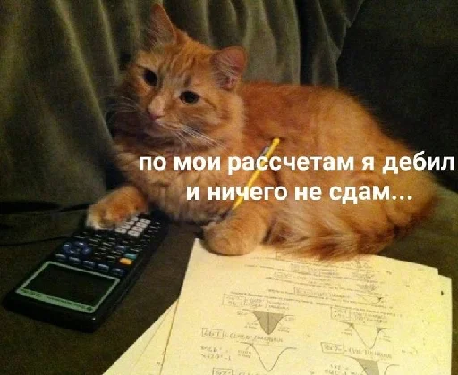 Стикер Litcat - 1