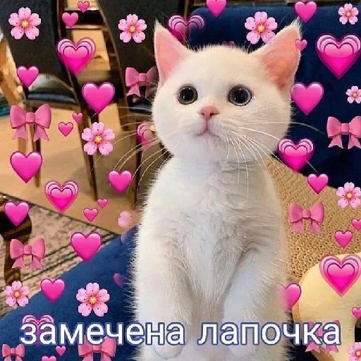 Стикер Litcat - 1