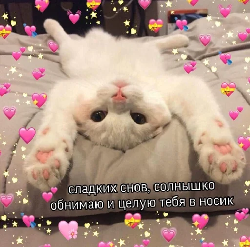 Стикер Litcat - 1