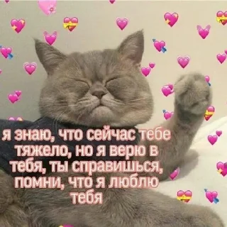 Sticker котеньки и чуть-чуть ещё - 9