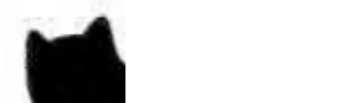 чёрный черно-белый кошки малого и среднего размера