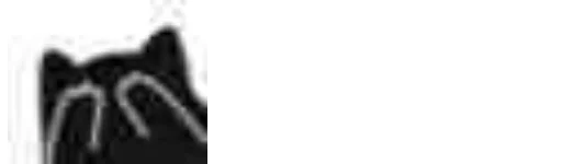 black black and white animal