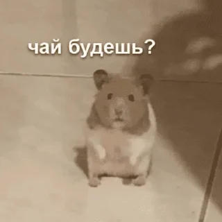 Стикер Literally me - 0