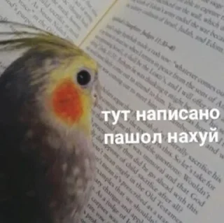 Стикер Literally me - 5