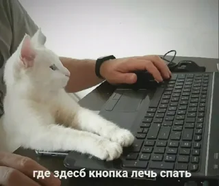 Стикер Literally me - 3