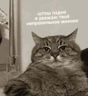 Стикер Literally me - 6