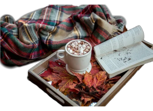 Sticker Live_Love_Book - 1