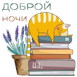 Sticker Книги 📚 @knignaja_gusha - 3