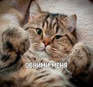 Стикер WhatIsLove - 0