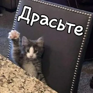 Стикер WhatIsLove - 10