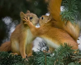 Стикер WhatIsLove - 2