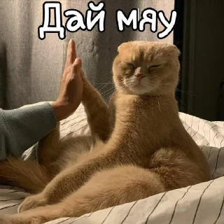 Стикер WhatIsLove - 6