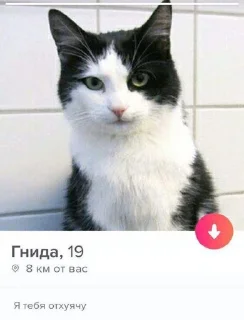 Стикер WhatIsLove - 5