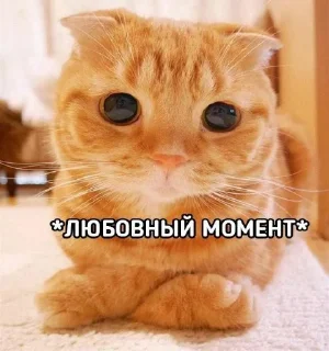 Стикер WhatIsLove - 4