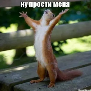 Стикер WhatIsLove - 8