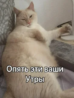 Стикер WhatIsLove - 11