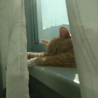 Стикер Лиза mood - 0