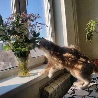 Стикер Лиза mood - 6