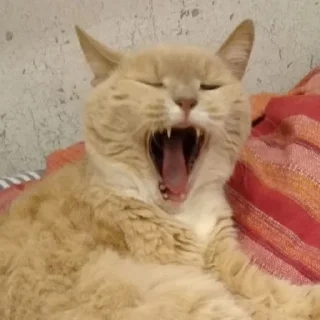 Стикер Лиза mood - 10