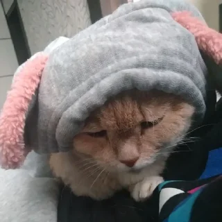 Стикер Лиза mood - 1