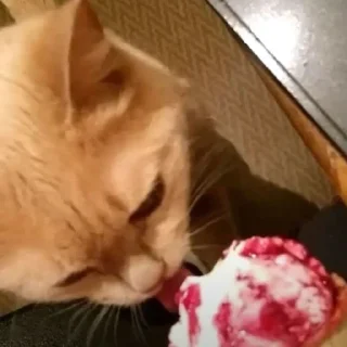 Стикер Лиза mood - 4