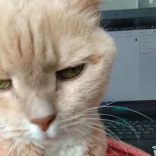 Стикер Лиза mood - 9