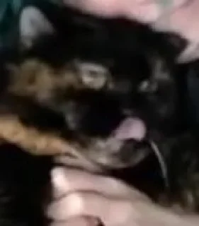 Sticker Liza_yamao от @karaasy - 8