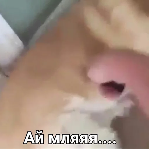 Sticker LizardMemes - 1