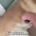 Sticker KыK pack - 3