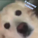 Sticker KыK pack - 1