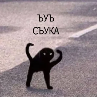 Sticker KыK pack - 7